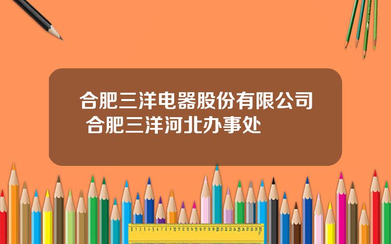 合肥三洋电器股份有限公司 合肥三洋河北办事处